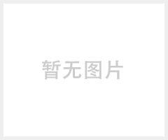 珊妮安儿饰品企业形像设计